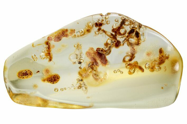 Polished Colombian Copal ( g) - Contains Termites! #326726